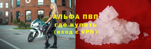 стаф Баксан