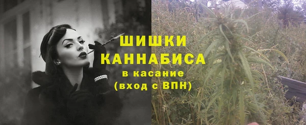 стаф Баксан