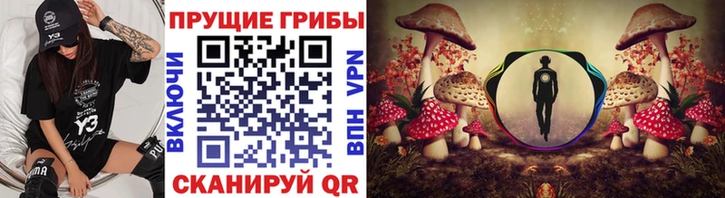 Галлюциногенные грибы MAGIC MUSHROOMS  купить наркотики цена  блэк спрут маркетплейс  Кстово 